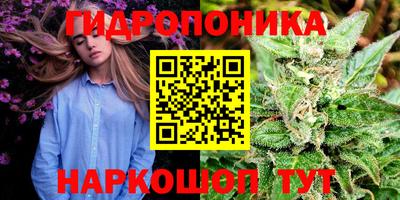 каннабис Долгопрудный