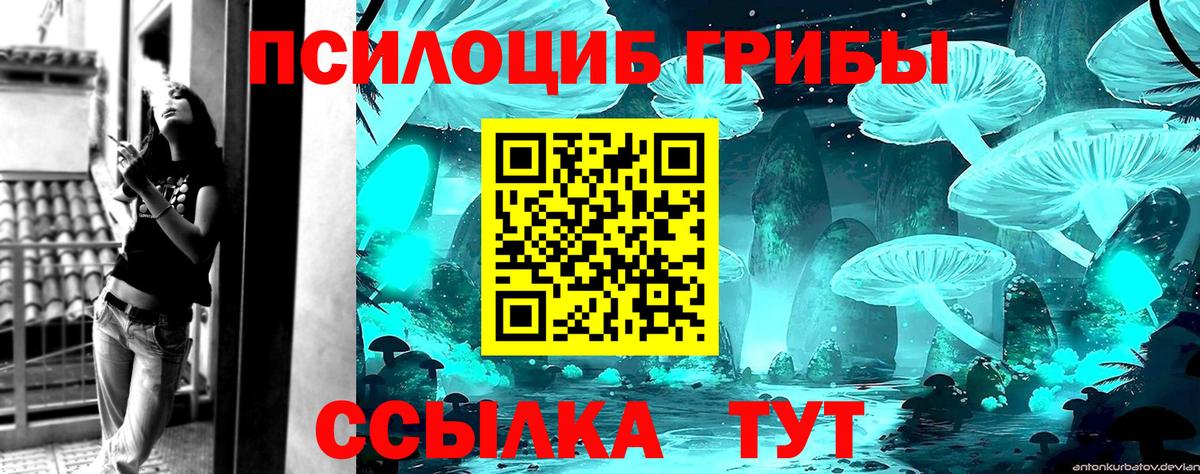 Псилоцибиновые грибы Cubensis Братск