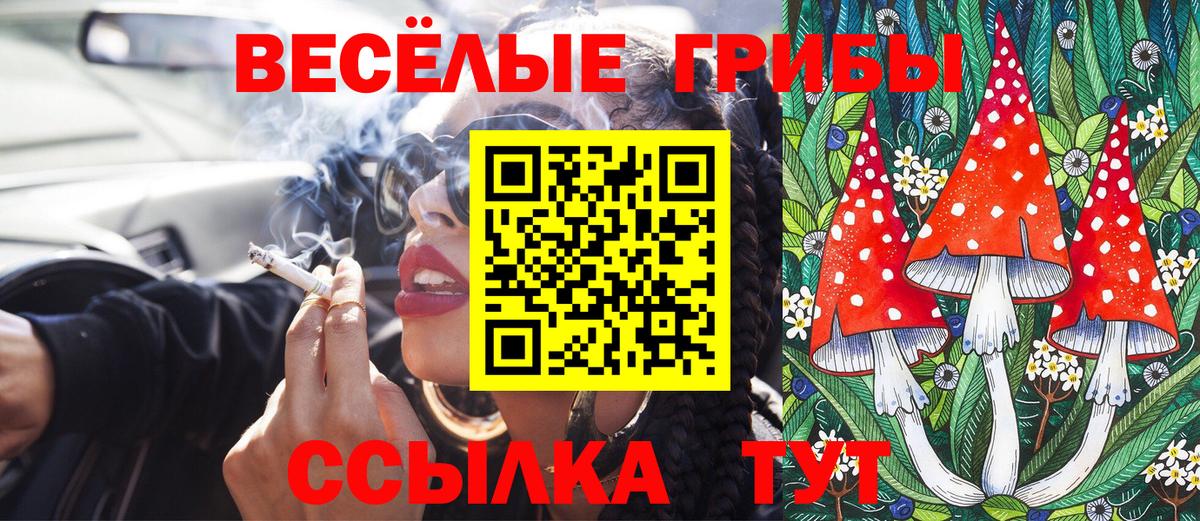 Братск  Псилоцибиновые грибы Psilocybe  Вход с VPN 
